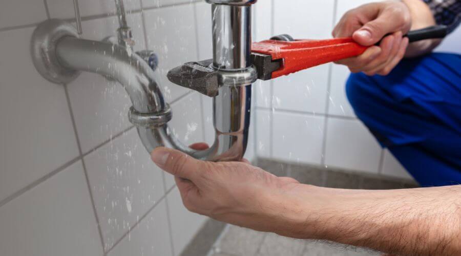 Local sewer line repair in West Concord, MN